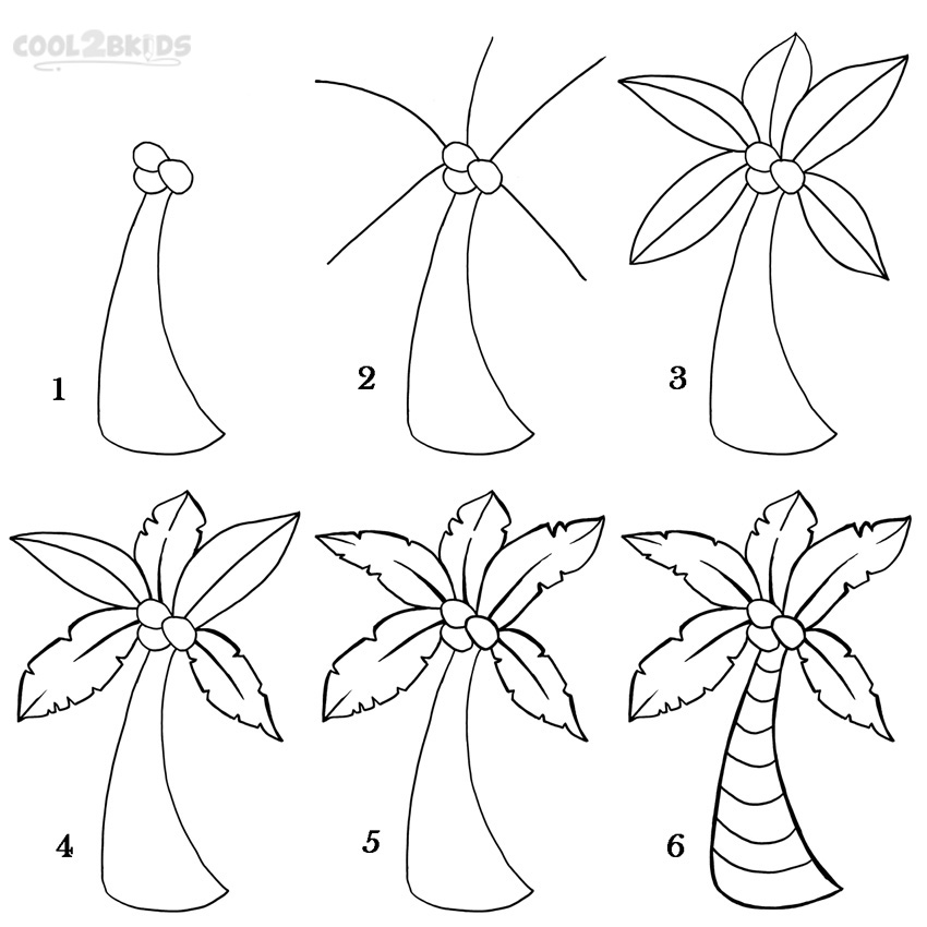 How To Draw Palm Trees Step By Sketch Coloring Page