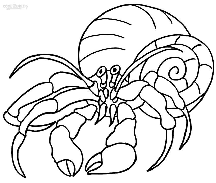 pin-on-animal-coloring-pages