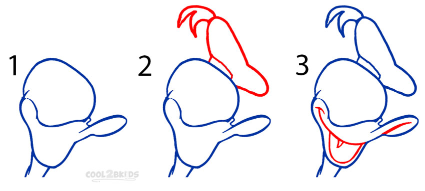 How to Draw Donald Duck (Step by Step Pictures) | Cool2bKids