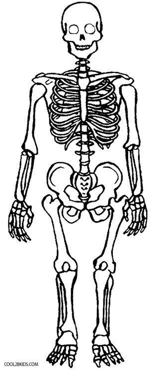 Free Printable Skeleton Coloring Pages Coloring Pages