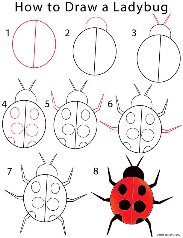 How to Draw a Ladybug, Step-by-Step Tutorial