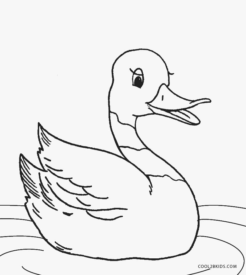 printable-duck-coloring-pages-for-kids-cool2bkids