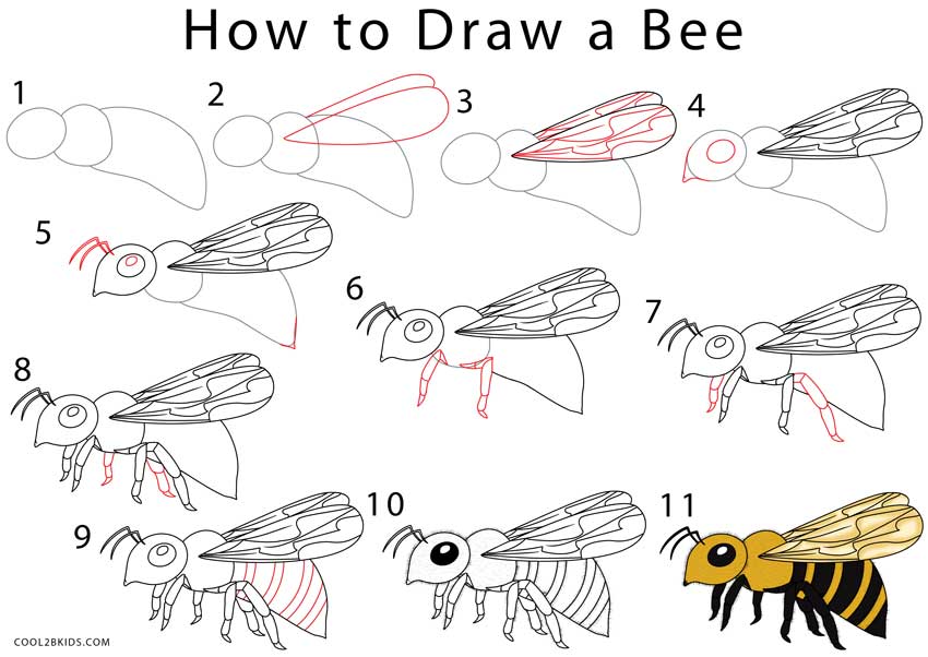 How To Draw A Bee Step By Step Pictures Cool2bKids