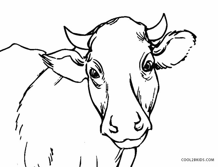 free-printable-cow-coloring-pages-for-kids-cool2bkids