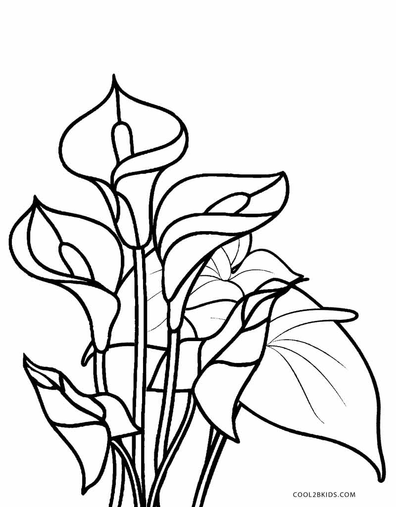 Free Printable Pictures Of Flowers To Color