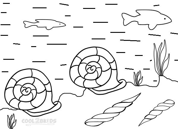 Printable Seashell Coloring Pages For Kids