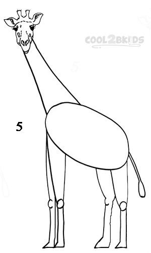 how to draw a real giraffe step by step