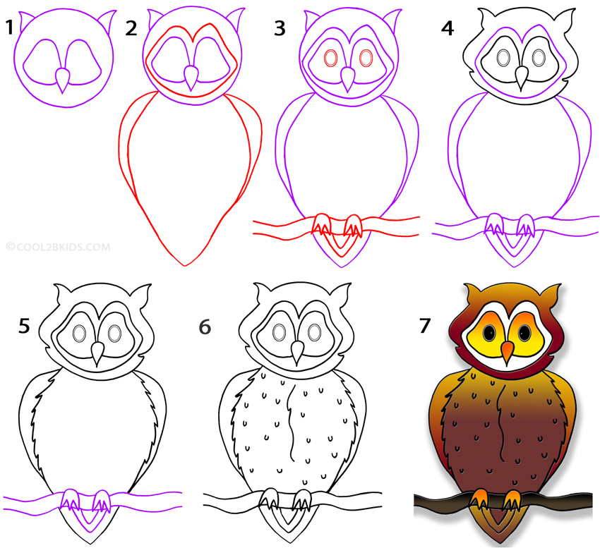 Best How Do You Draw An Owl of all time Don t miss out 