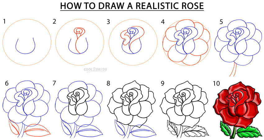 How To Draw A Realistic Rose Step By Step Pictures