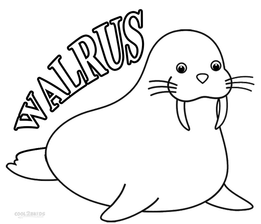 Printable Picture Of A Walrus