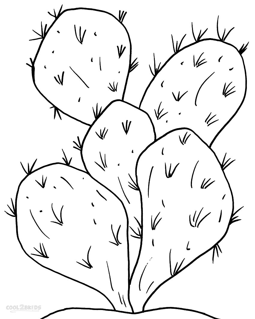 cactus and succulent coloring pages