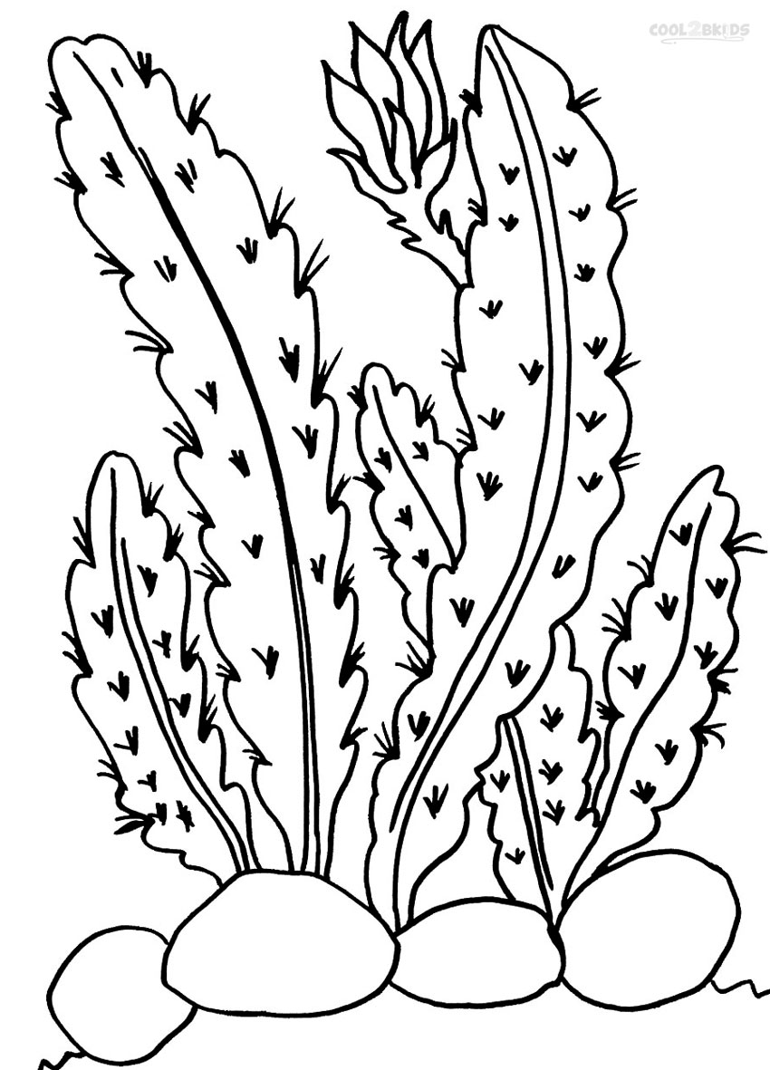 Download Printable Cactus Coloring Pages For Kids