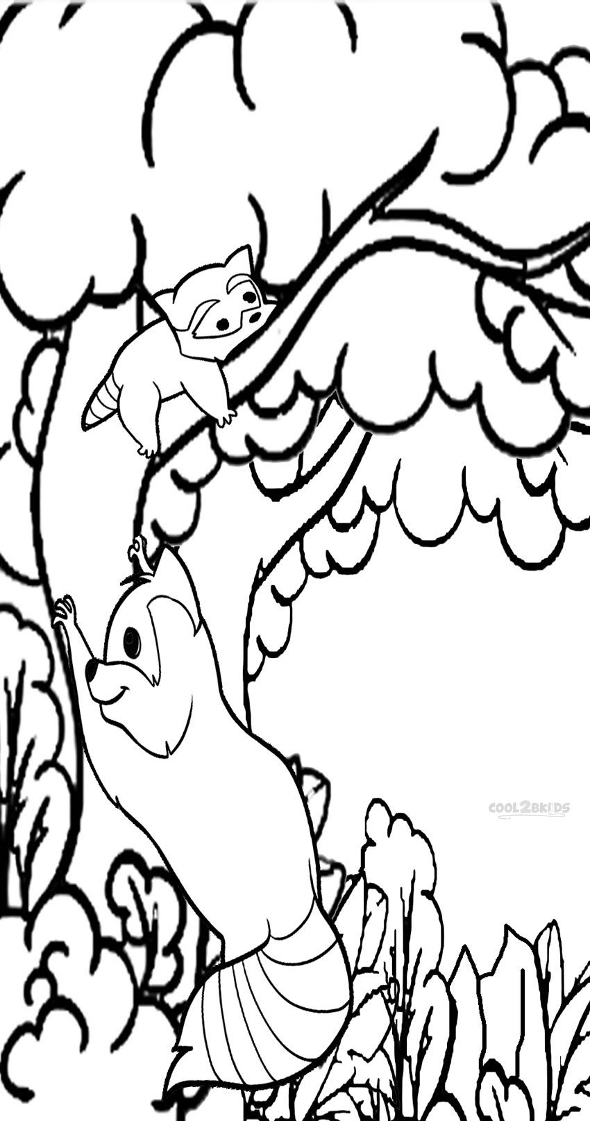 Download Printable Raccoon Coloring Pages For Kids