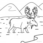 Printable Moose Coloring Pages For Kids