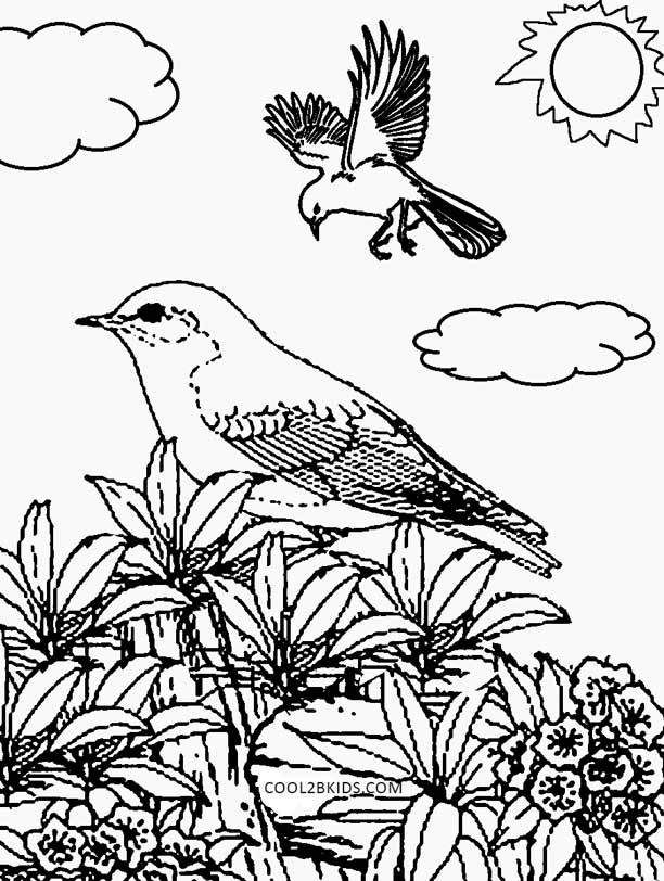 Free Printable Nature Coloring Pages for Kids - Cool2bKids