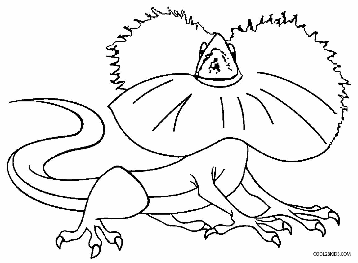 Une image d'une page de coloriage représentant un lézard frangé