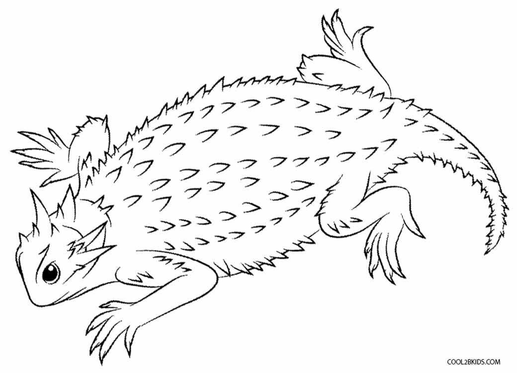 lizard drawing for kids