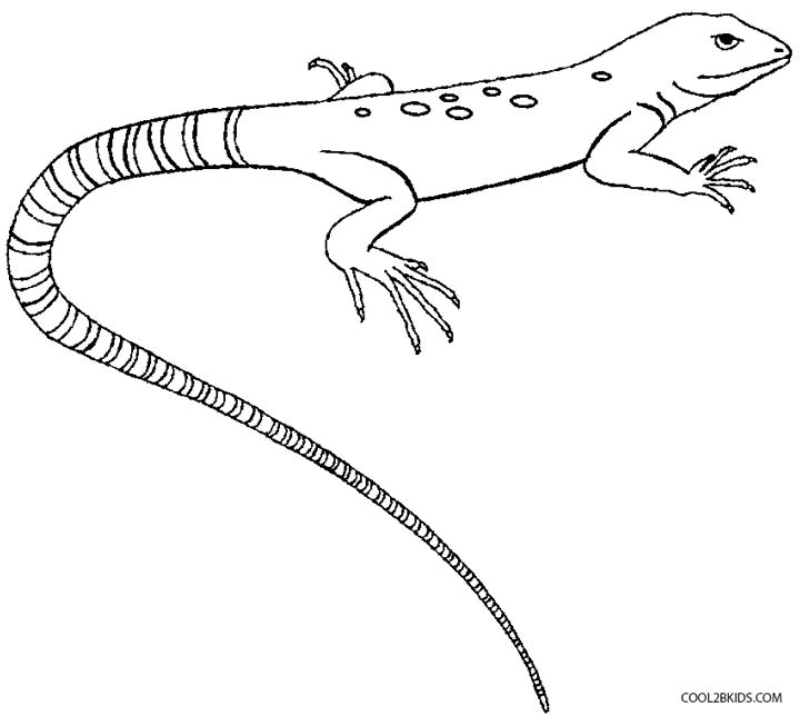 850 Collections Spiderman Lizard Coloring Pages  Latest Free