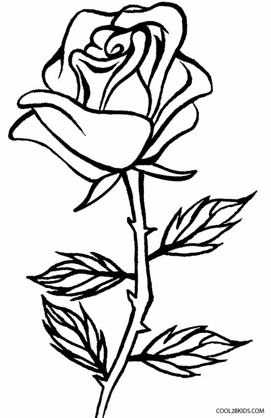 Download Printable Rose Coloring Pages For Kids
