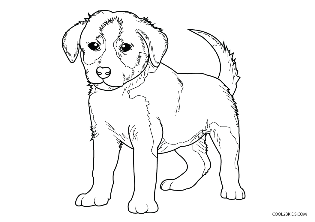 pictures of puppies to color