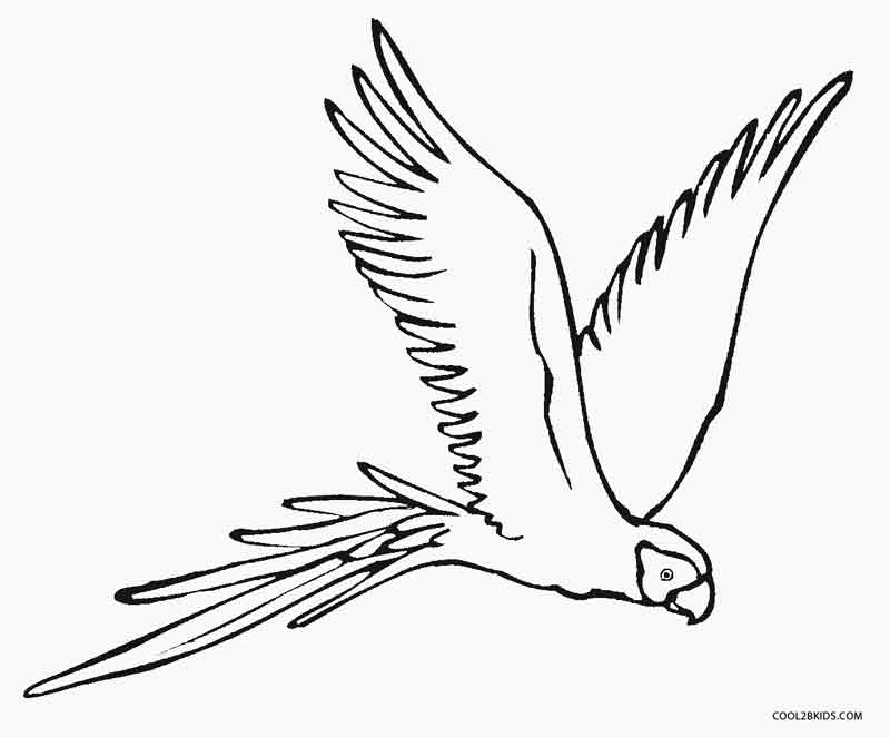 Printable Parrot Coloring Pages For Kids | Cool2bKids
