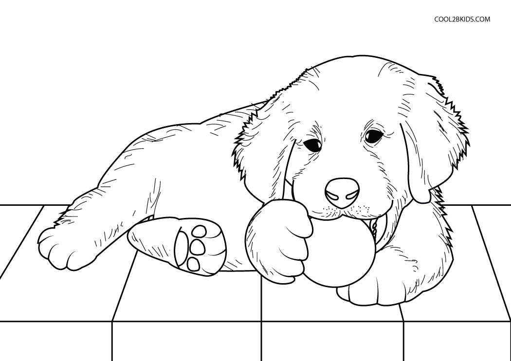 cute baby puppy pictures to print