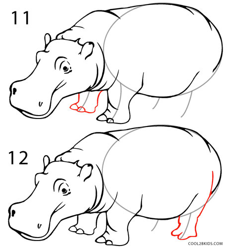 How to Draw a Hippo (Step by Step Pictures)