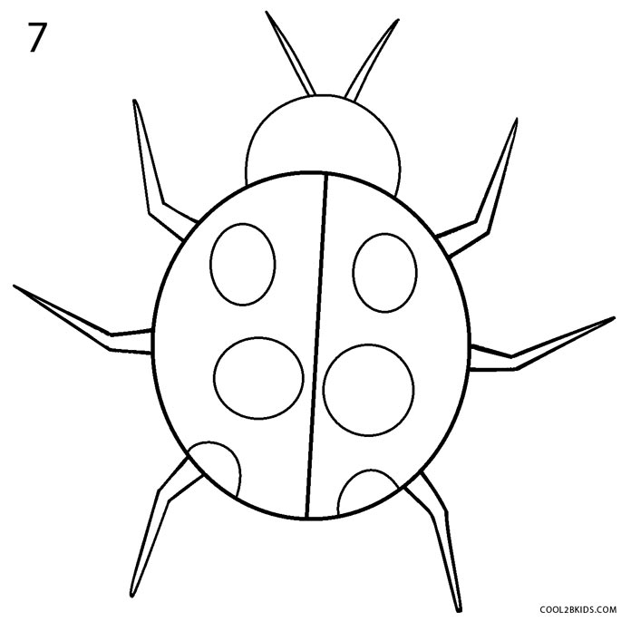 How to Draw a Ladybug (Step by Step Pictures) | Cool2bKids