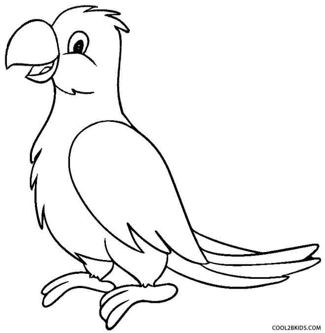 parrot drawing for colouring