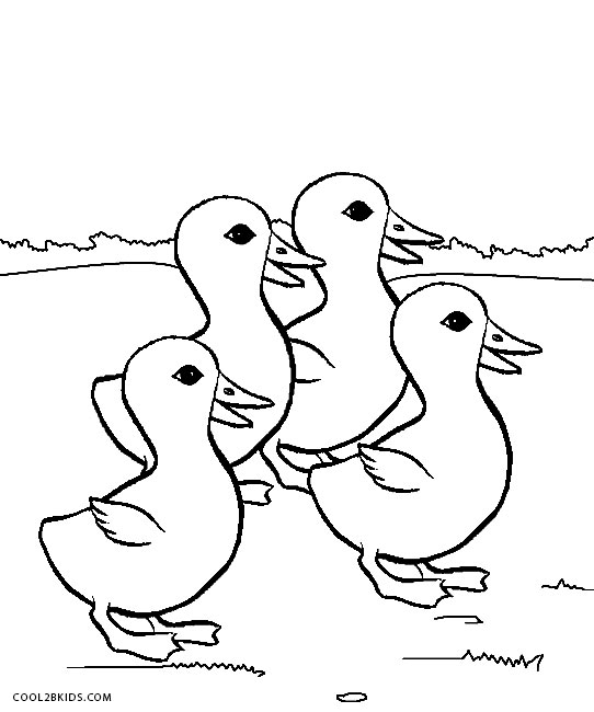 duck to color