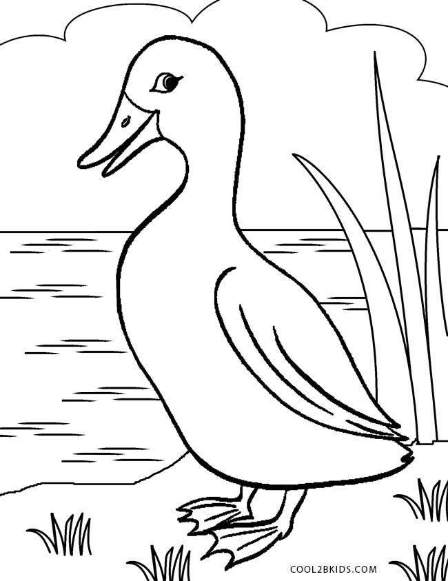 Download Mallard Duck In Pond Coloring Page Coloring Pages