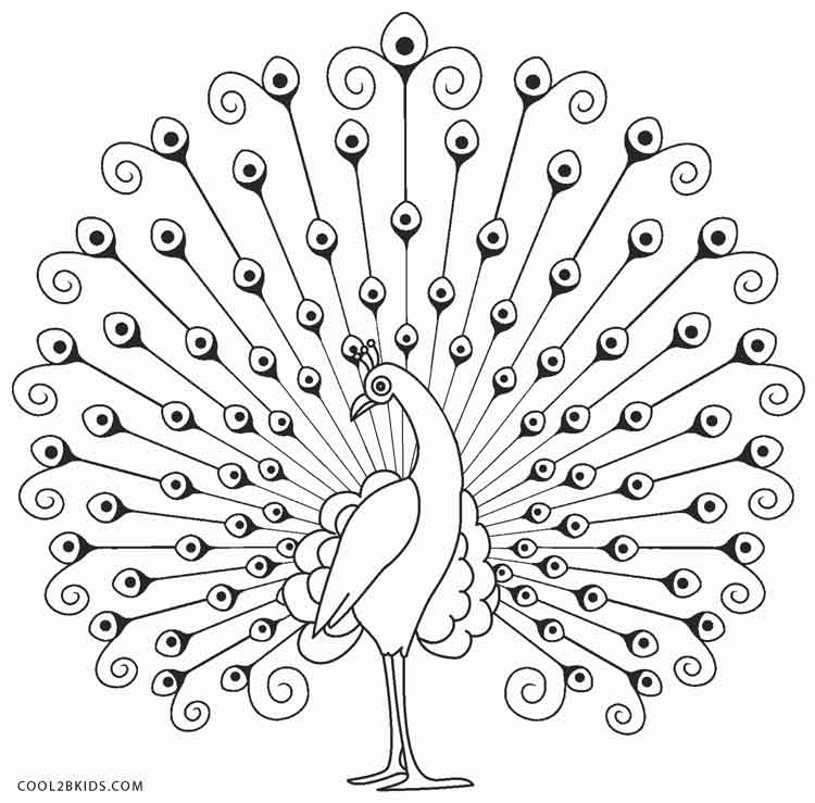 Printable Peacock Coloring Pages For Kids