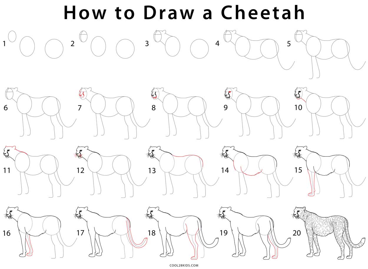 Cheetah Drawing Images – Browse 91,492 Stock Photos, Vectors, and Video |  Adobe Stock