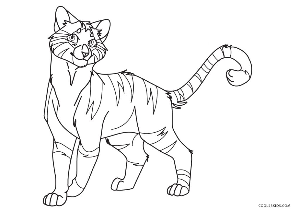 56 Warrior Cat Coloring Pages  HD