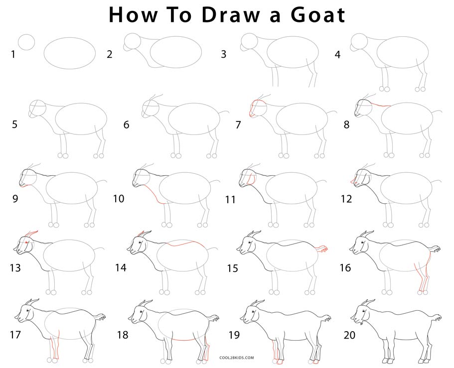 Featured image of post How To Draw A Cute Goat Step By Step - In this video i will walk you step by step through the drawing techniques you will need to create your own goat pencil drawings.