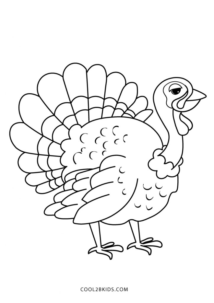 Free Printable Turkey Coloring Pages For Kids