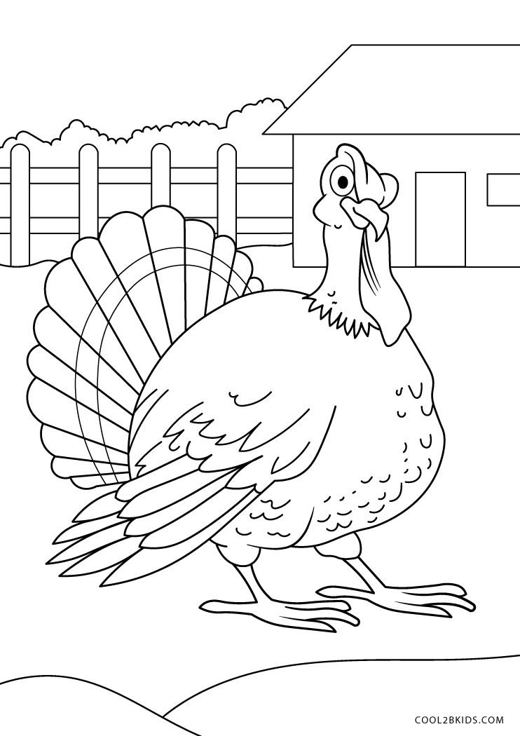 Free Printable Turkey Coloring Pages For Kids