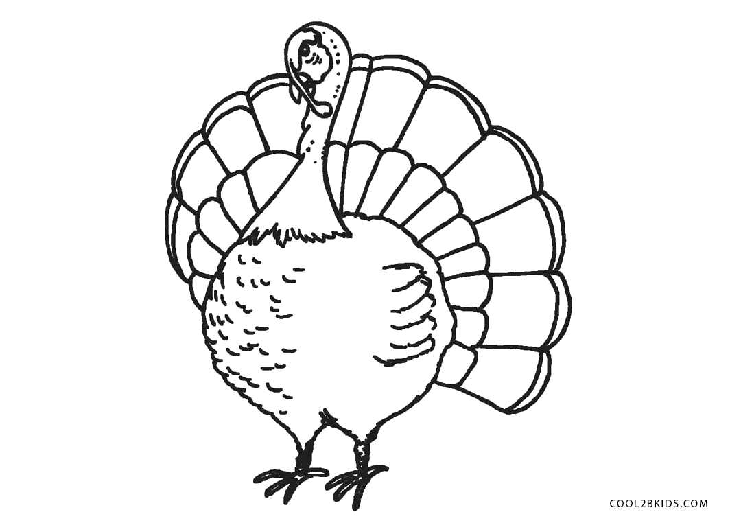 cute turkey coloring pages