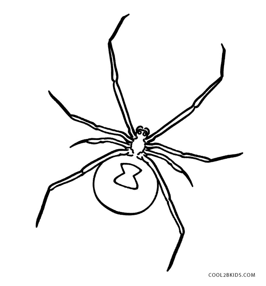 free coloring pages of spiders