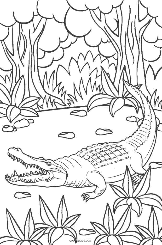 Coloring Pages For 3rd Grade