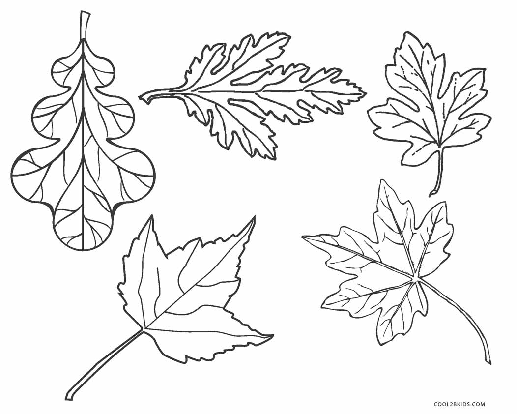 Leaf Printable Coloring Pages - HubPages
