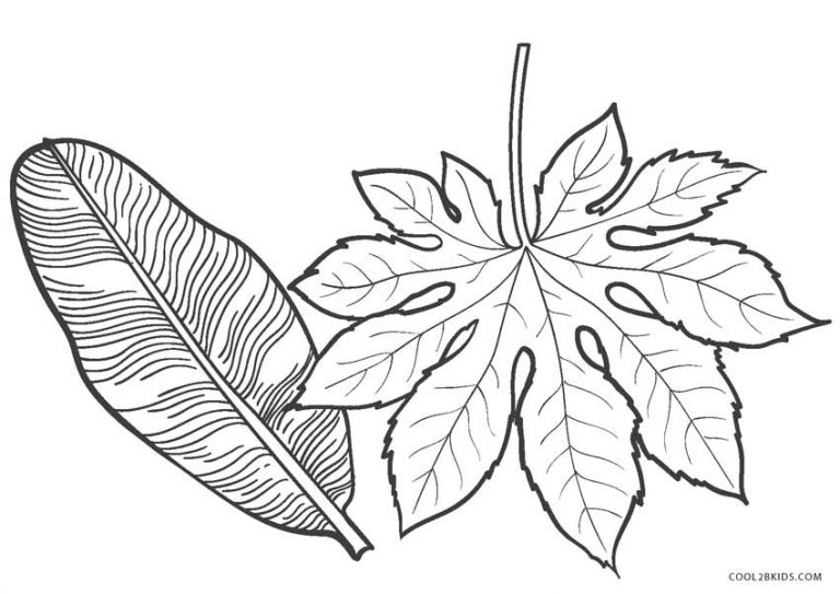 Free Printable Leaf Coloring Pages For Kids