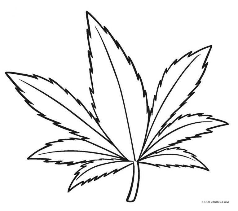 Leaf Outline Coloring Page