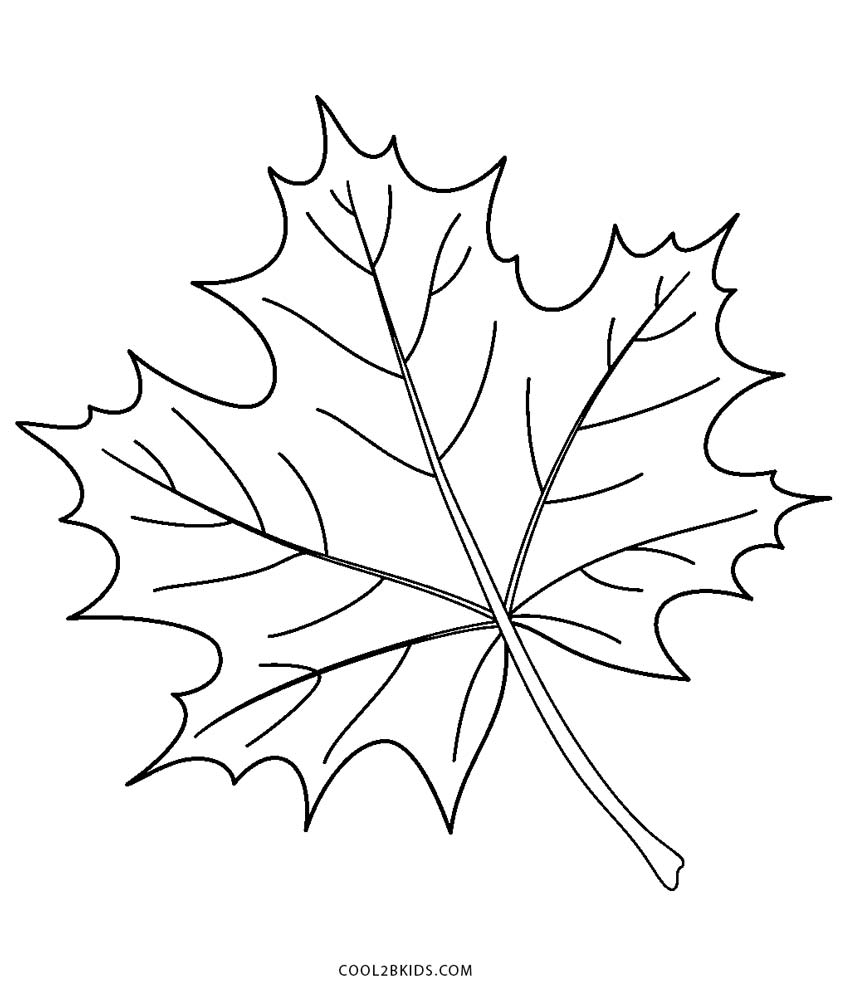 Free-Printable-Leaf-Coloring-Pages-For-Kids