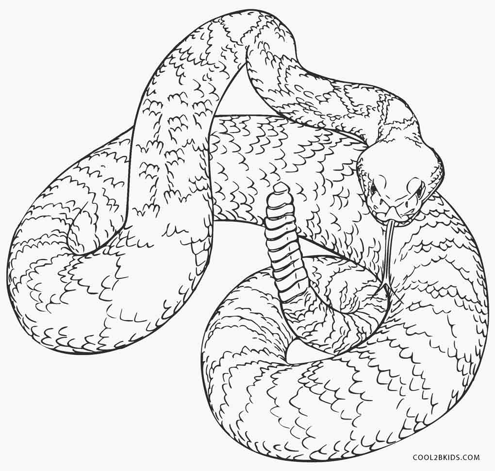 Animal Printable Coloring Pages Of Snakes 