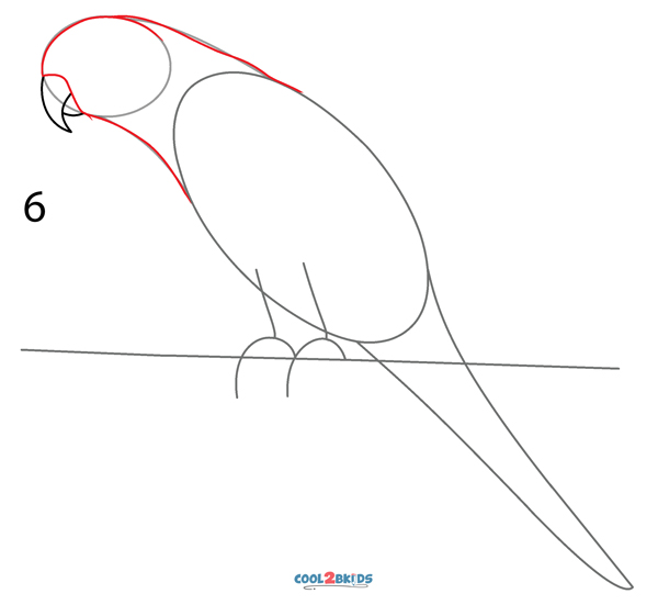 how to draw a simple parrot
