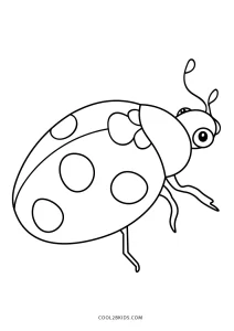 realistic ladybug coloring pages