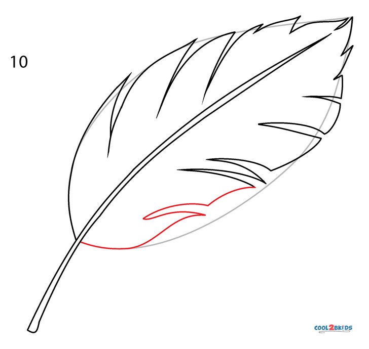 how to draw a feather step by step