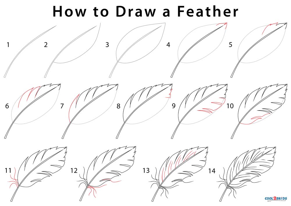 How to Draw an Easy Feather  Easy Drawing Tutorial For Kids