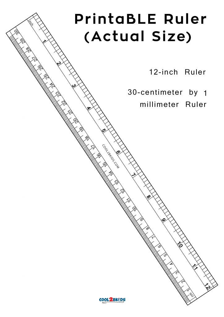 free printable giant ruler wall chart pdf